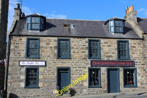 Photo 6x4 the purple fox - photo,