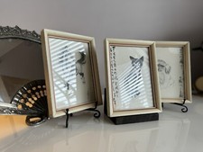 A Gorgeous Set Of 3 Small Vintage Chinese Framed Prints Colt,Kitten,Pekingese