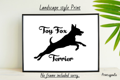 Toy fox terrier picture - terrier, a4