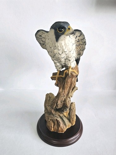 Large peregrine falcon bird - bird, on