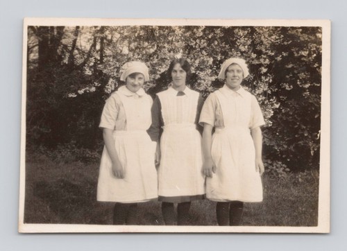 Old photo women staff - b&w,