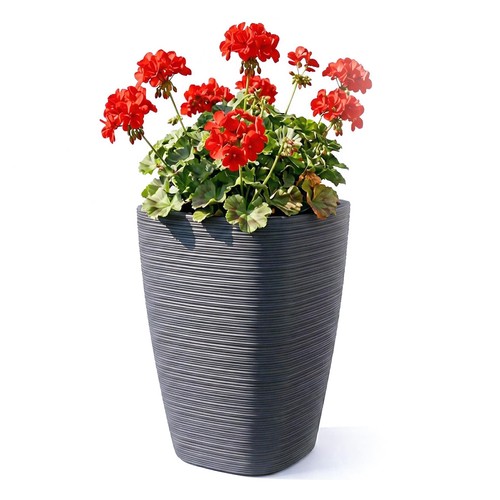 Flower pot with - flower,