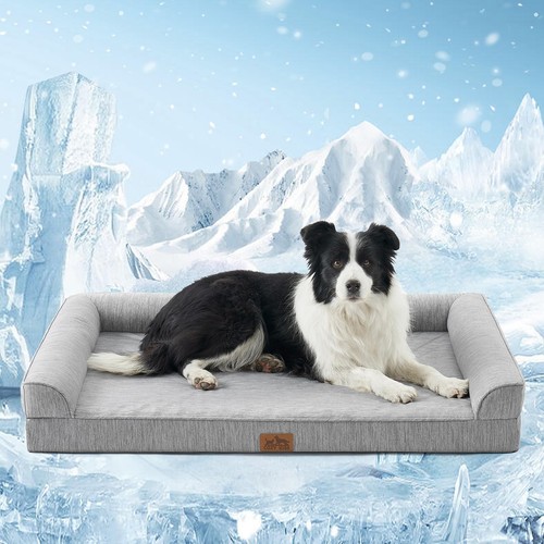 Dog bed 30 orthopedic - dog, 42