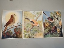 3 Vintage Postcards Medici