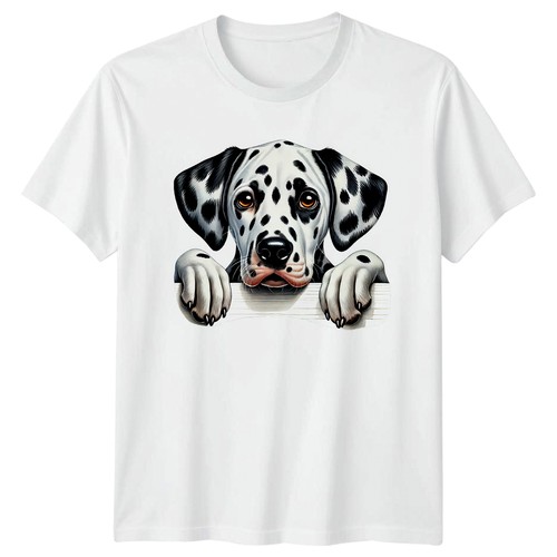 Cute dalmatian dog - cute,