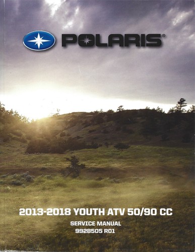 2013 2018 polaris - 2013-2018,
