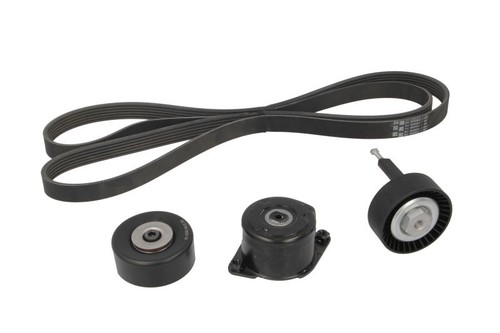 Multiple ribbed belt - v,
