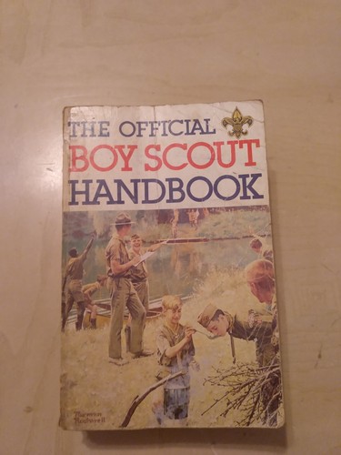 The official boy scout - the,