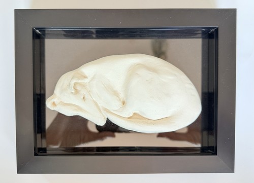 Vikki singleton framed - vikki,