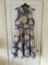 Coast Silver & Rose Fit & Flair Dress