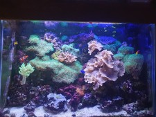 Marine Reef Aquarium Complete Set Fish Tank
