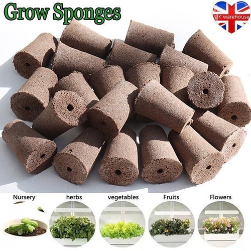 Grow sponges for - sponges,