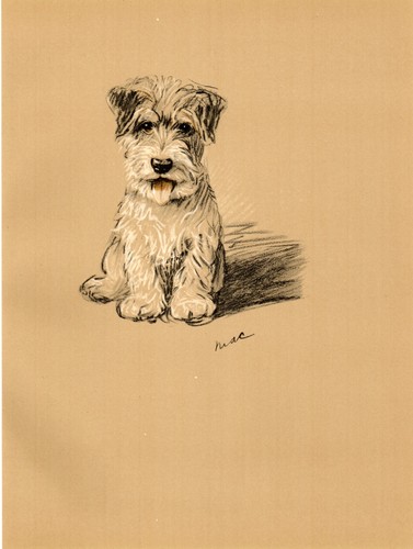 Lovely 1936 1st edition - 1936,