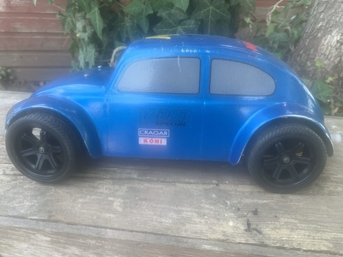 Mardave dub beetle - dub, 1/12