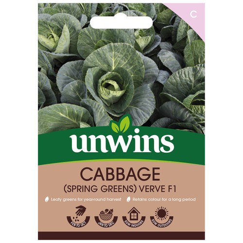 Cabbage verve - cabbage, (spring