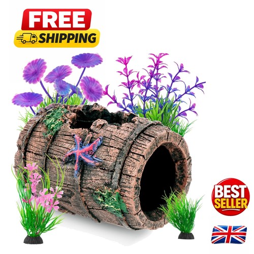 Beautiful fish shelter - beautiful,