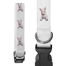 Large 'English Bull Terrier' Dog Collar (PR00033048)