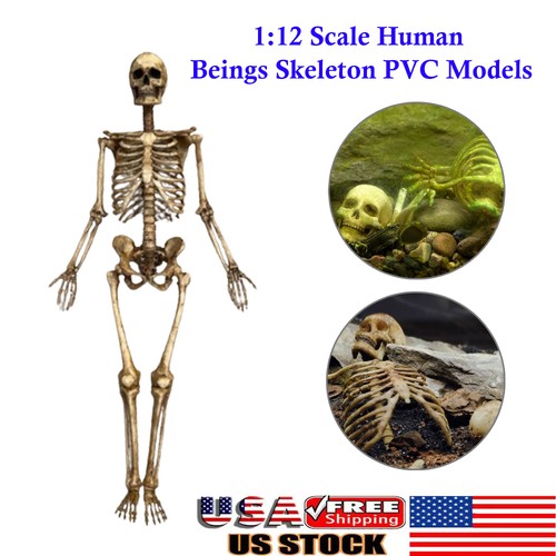 Scale human beings - scale,
