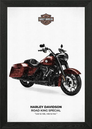 Harley davidson road - road, king