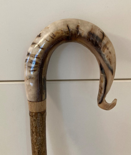 Lovely herdwick rams horn - ,