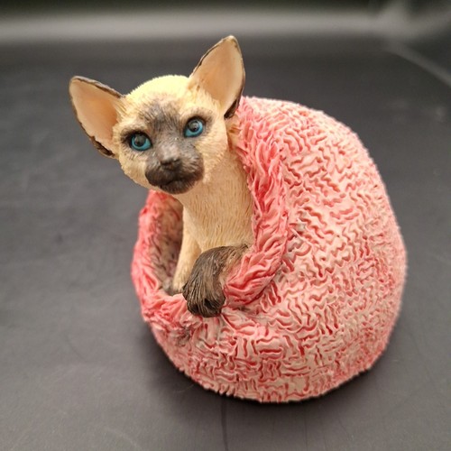 Border fine arts kitten - border,