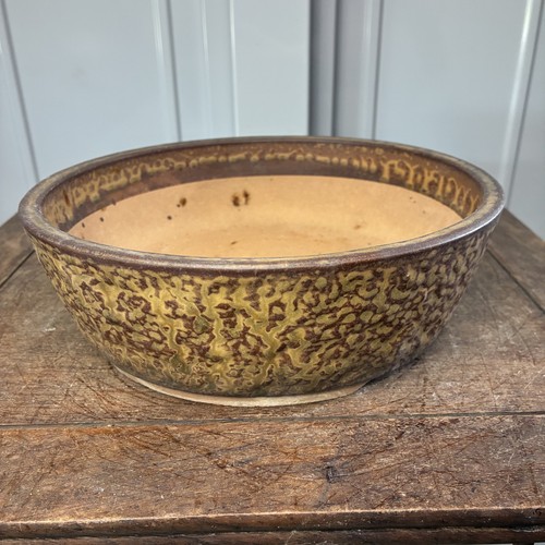 Vintage japanese bonsai pot - bonsai,