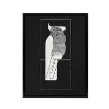 Sulphur Crested Cockatoo