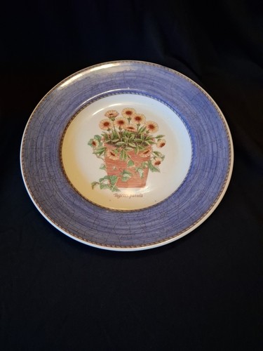 Wedgwood sarah garden plate - wedgwood, sarah's