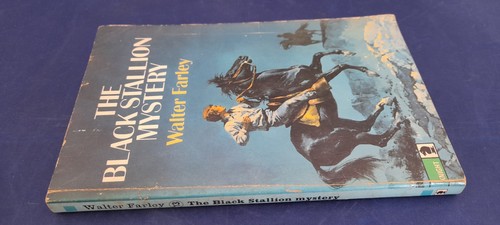 The black stallion - black, mystery