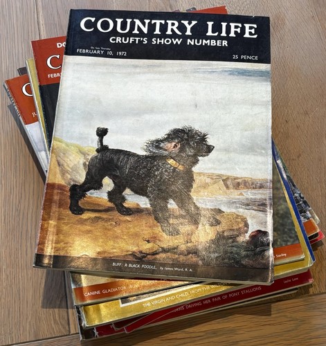1940 1980 s country - 1940's,