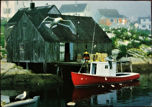Peggy cove fishing - fishing, village