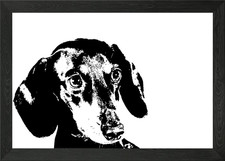 Cute Dachshund Puppy Dog