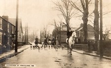 PONTELAND. FOXHOUNDS # 1826 IN MONARCH SERIES BY R.JOHNSTON & SON