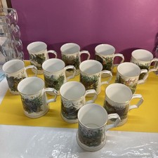 Hammersley Tankards X12 Birds Danbury Mint Multicoloured Bone China