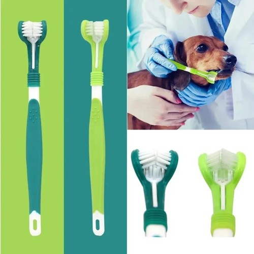 Triple sided advanced dog cat - advanced,