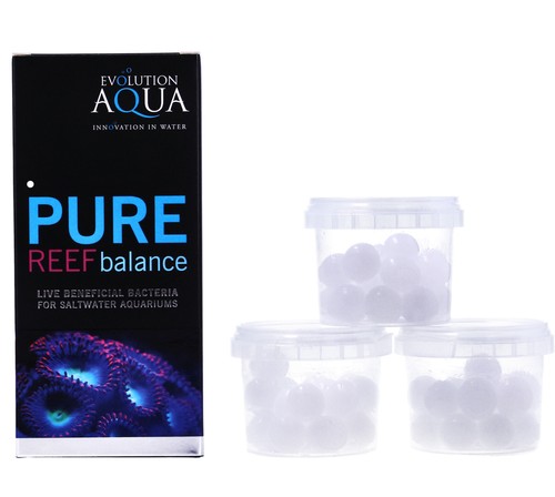 Evolution aqua pure reef - evolution,