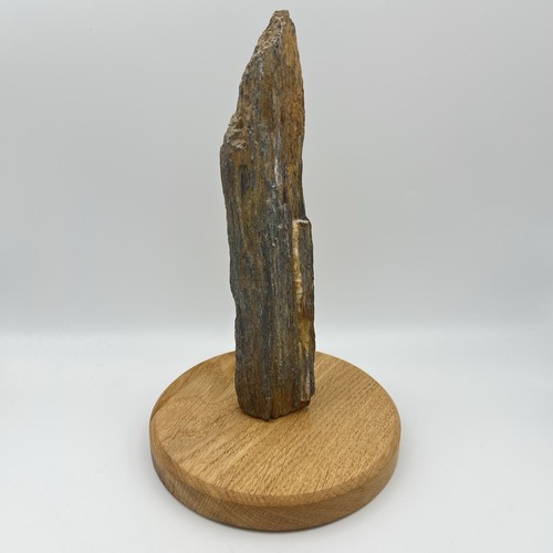 Petrified wood specimen 21cm - wood,