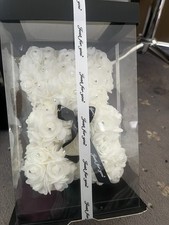 Red Rose Bear in Gift Box with Ribbon 25cm For Any Occasion