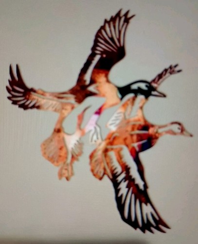 Pair flying ducks flat - flying,