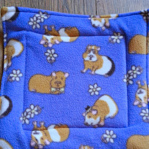 Guinea pig reversible - guinea,