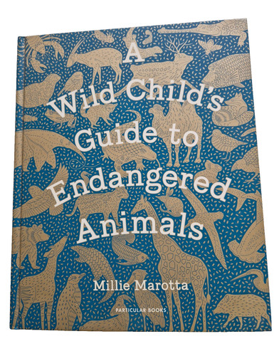 Wild child guide to - wild,
