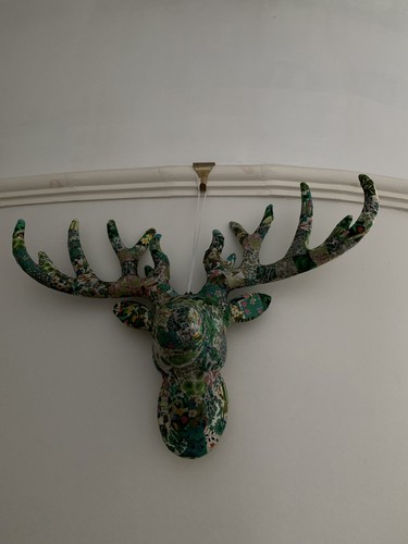 Stag trophy head - trophy,