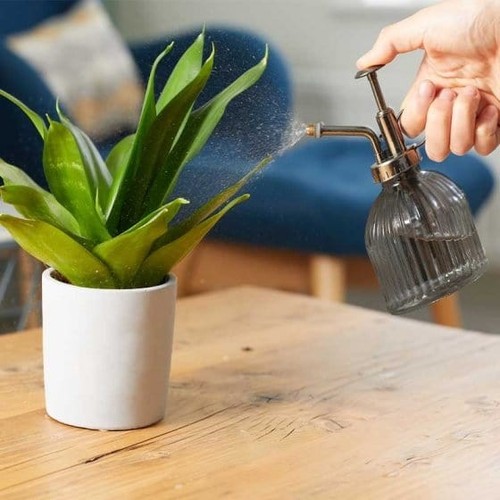 Smart garden plant mister - smart,