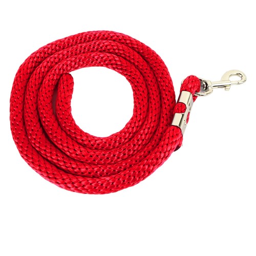 Red horse lunge line - horse,