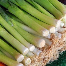 Leeks | Versatile Winter