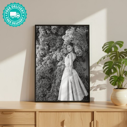 Audrey hepburn dress - hepburn,