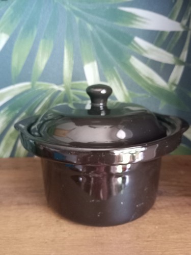 One person crock pot - pot, lid