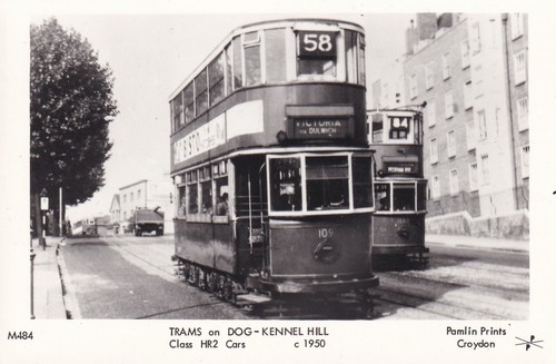 Trams dog kennel - dog, dulwich