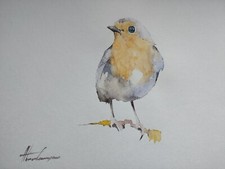 Robin, Birds, Watercolor