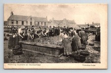 Scotland: Herring Gutters At